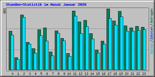Stunden-Statistik im Monat Januar 2026